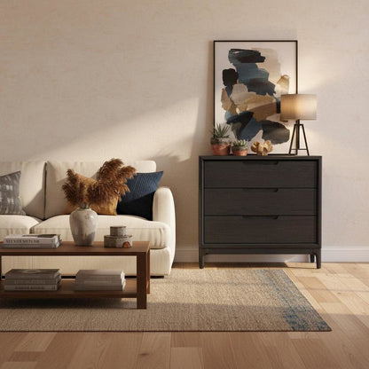 Vintage Black Accent Chest with Modern Design and Single Drawer, No Upholstery