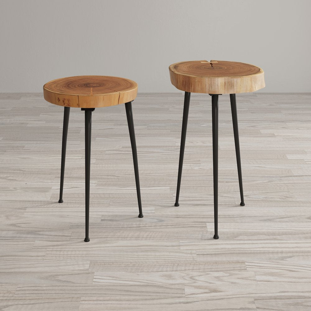 Global Archive Flat-Pack Wood and Iron Accent Tables (Set of 2)