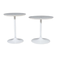 Camille Solid Marble and Iron Modern Luxury Accent Tables (Set of 2)