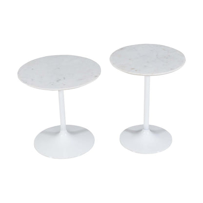 Camille Solid Marble and Iron Modern Luxury Accent Tables (Set of 2)