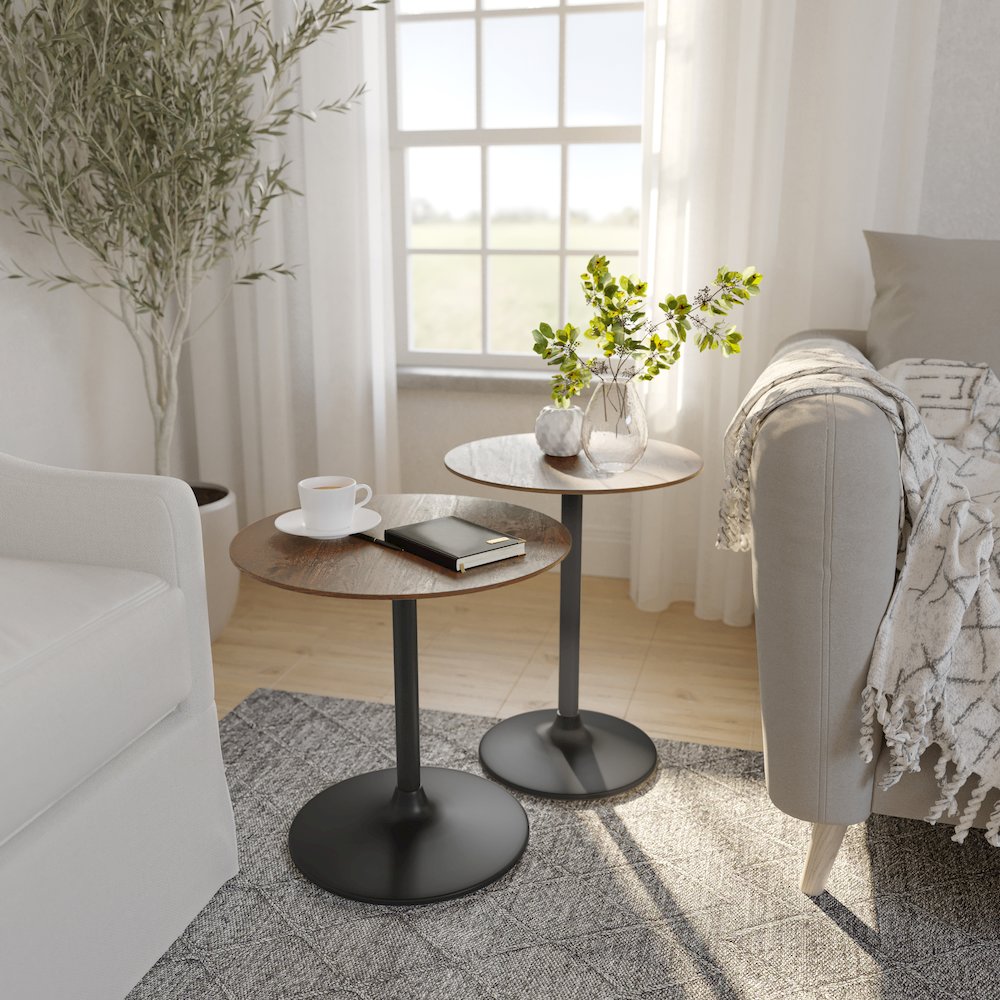 Remy Solid Wood and Iron Modern Pedestal Accent Tables (Set of 2)