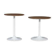 Remy Solid Wood and Iron Modern Pedestal Accent Tables (Set of 2)