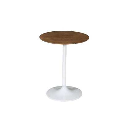 Remy Solid Wood and Iron Modern Pedestal Accent Tables (Set of 2)