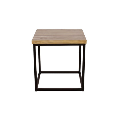 Ames Solid Wood Modern End Table