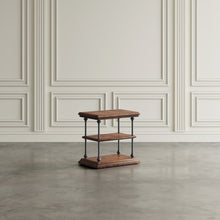 Larson Modern Industrial Solid Wood Chairside End Table with Storage