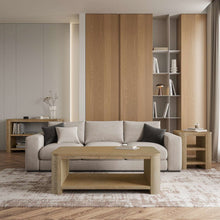 Janzen Three Piece Contemporary Modern Living Room Occasional Table Set