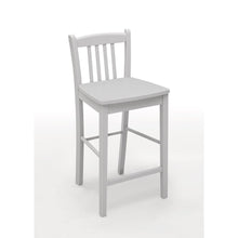Tribeca Counter Height Stool (Set of 2)