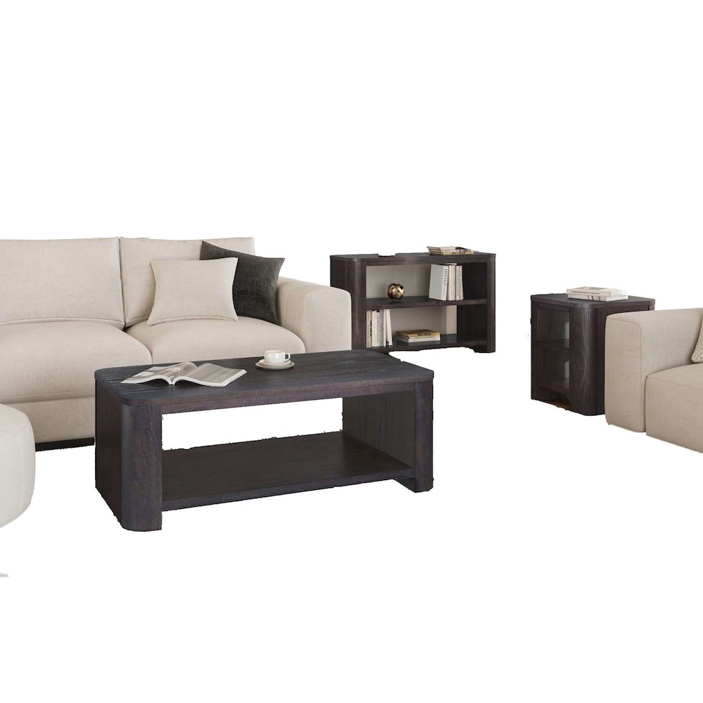 Janzen Three Piece Contemporary Modern Living Room Occasional Table Set