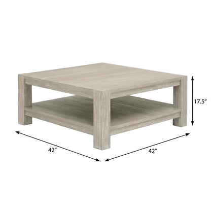 Gray Transitional Square Coffee Table, Solid Beed Wood Frame and Shelf Storage