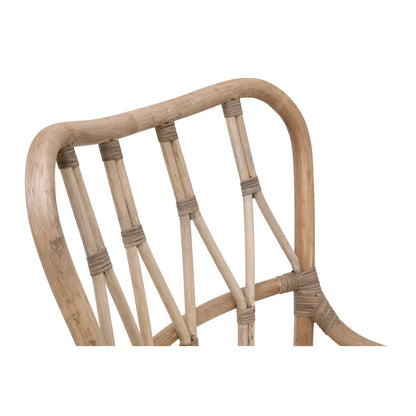 Sel De Mer Transitional Caprice Dining Chair, Set of 2