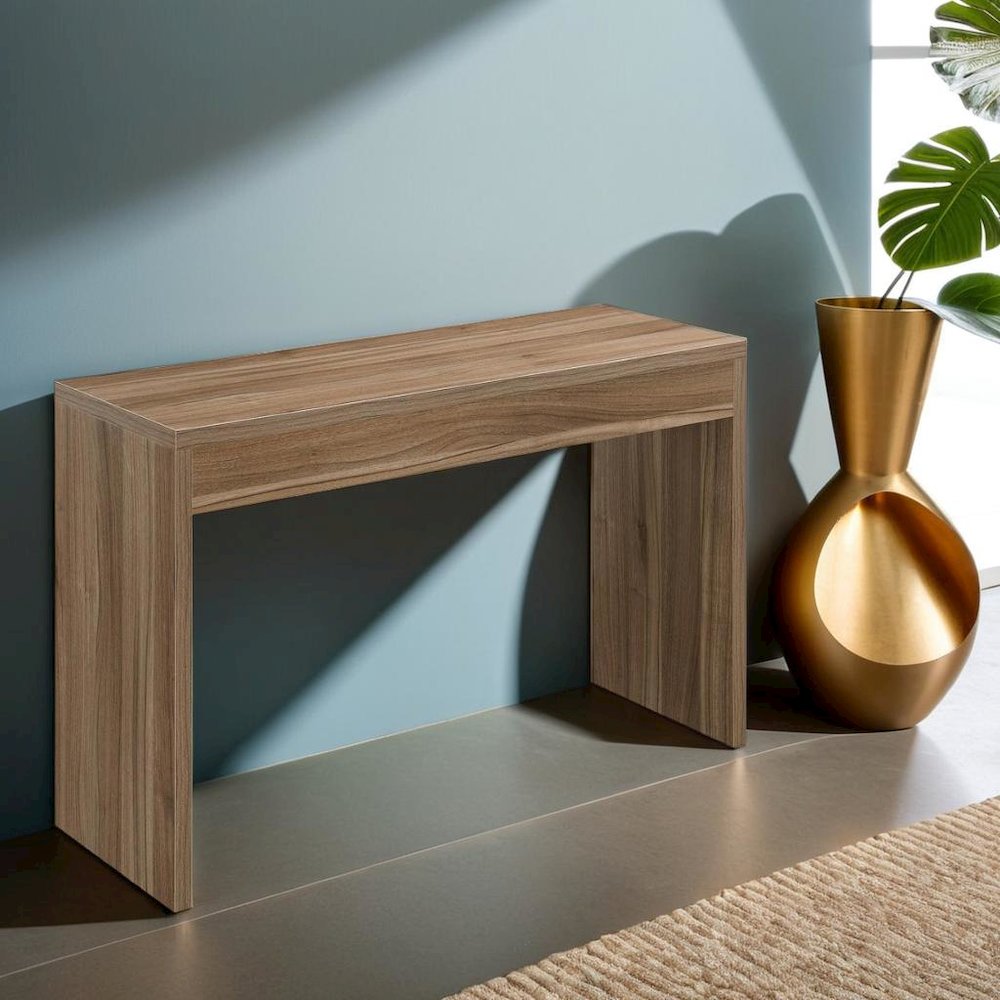 Brown Console Table with Storage and Practical Design for Living Room