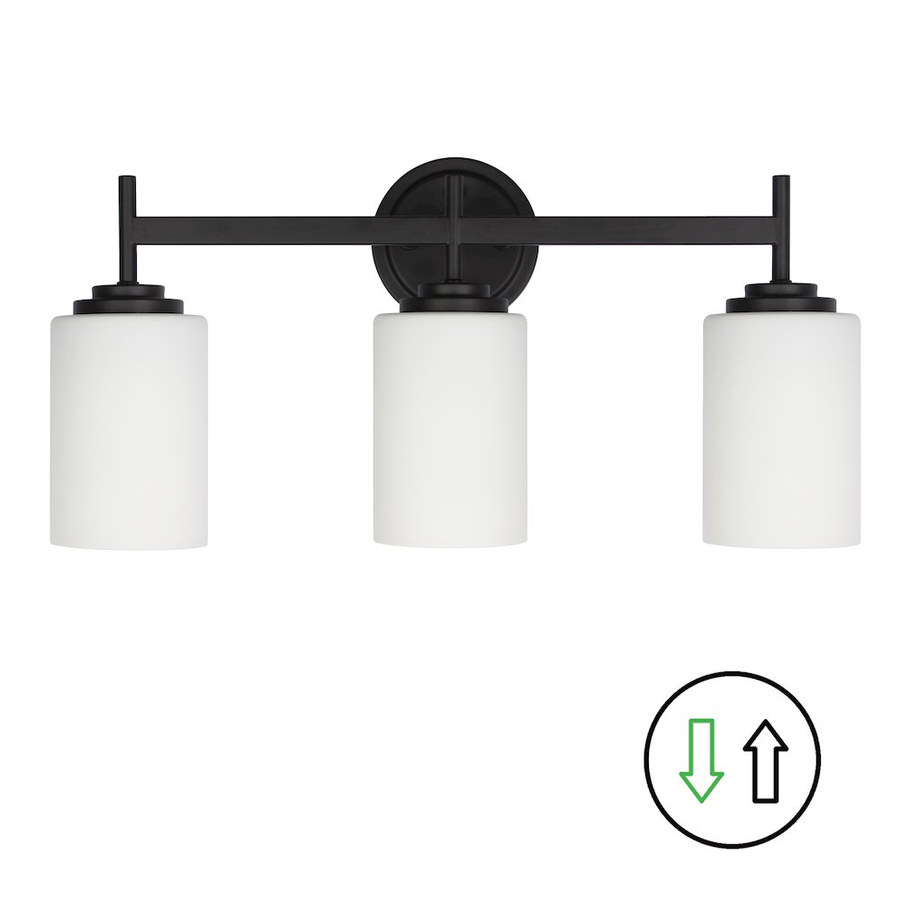 3 Light Vanity in Matte Black