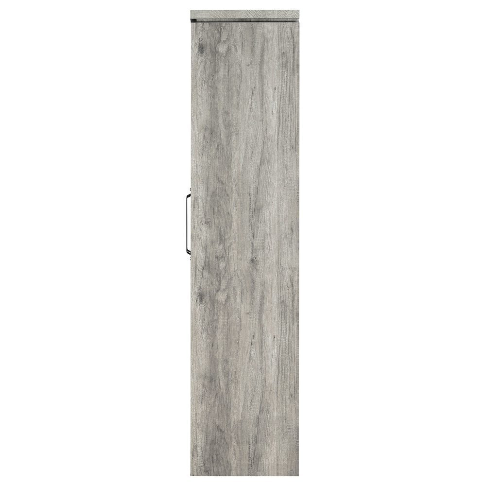 Modern 2-Door Tall Cabinet, Grey Driftwood, Glass Doors, Storage