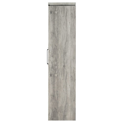 Modern 2-Door Tall Cabinet, Grey Driftwood, Glass Doors, Storage