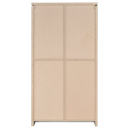 Modern 2-Door Tall Cabinet, Grey Driftwood, Glass Doors, Storage