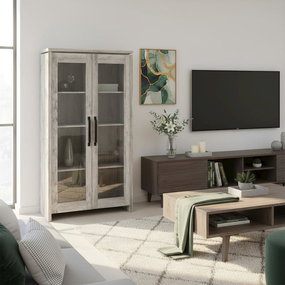 Modern 2-Door Tall Cabinet, Grey Driftwood, Glass Doors, Storage