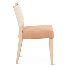 Lila Dining Chair in Durango Stripe Linen and Antique Light Leather