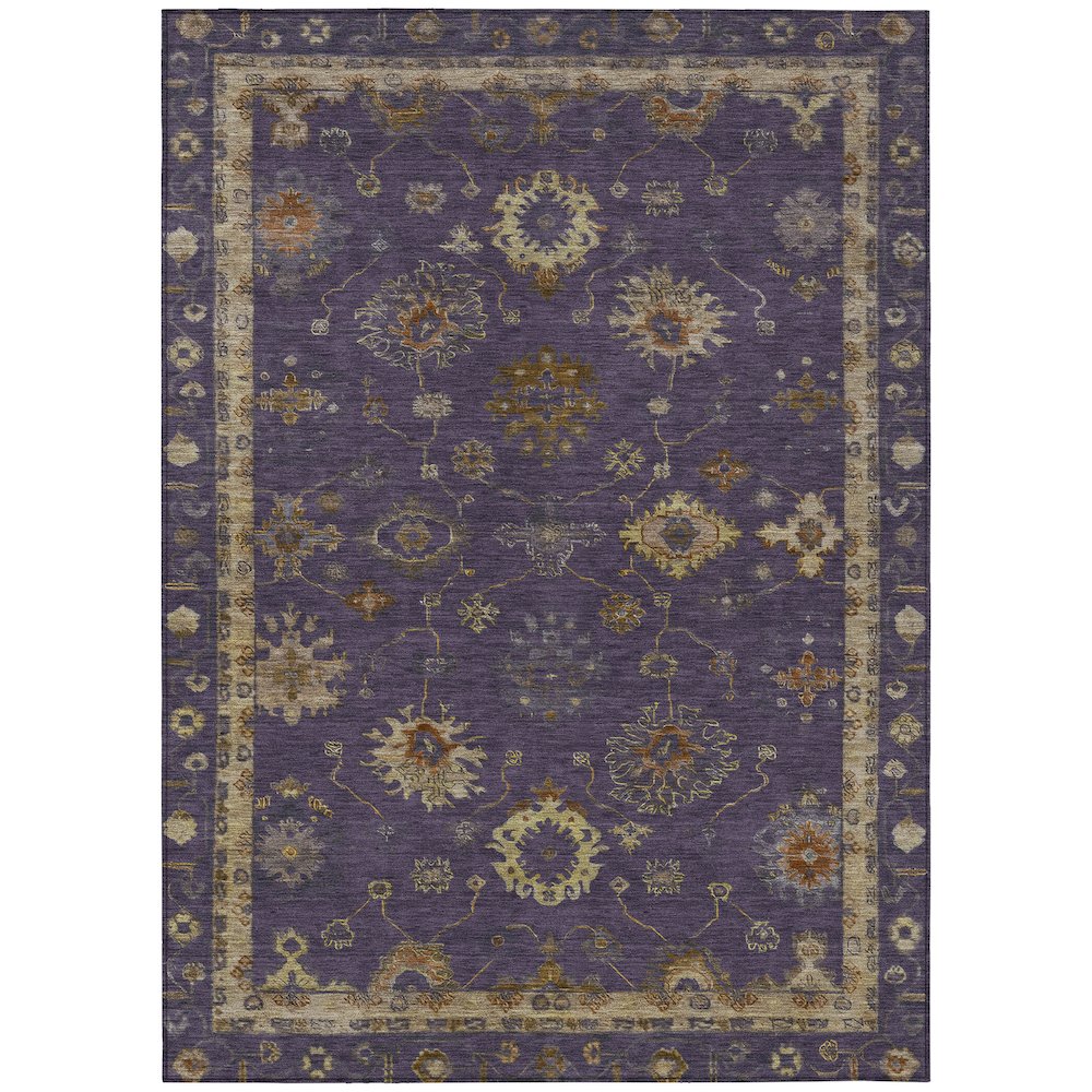 Machine Washable Indoor/Outdoor Chantille ACN2045 Eggplant 3' x 5' Rug