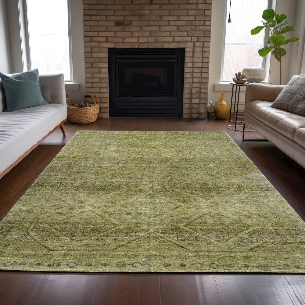 Machine Washable Indoor/Outdoor Chantille ACN2060 Aloe 3' x 5' Rug