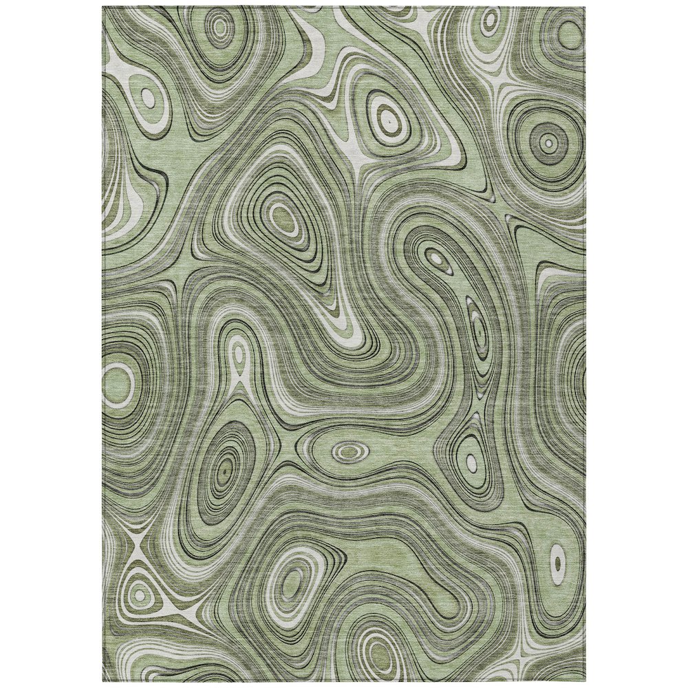 Machine Washable Indoor/Outdoor Chantille ACN2097 Aloe 3' x 5' Rug