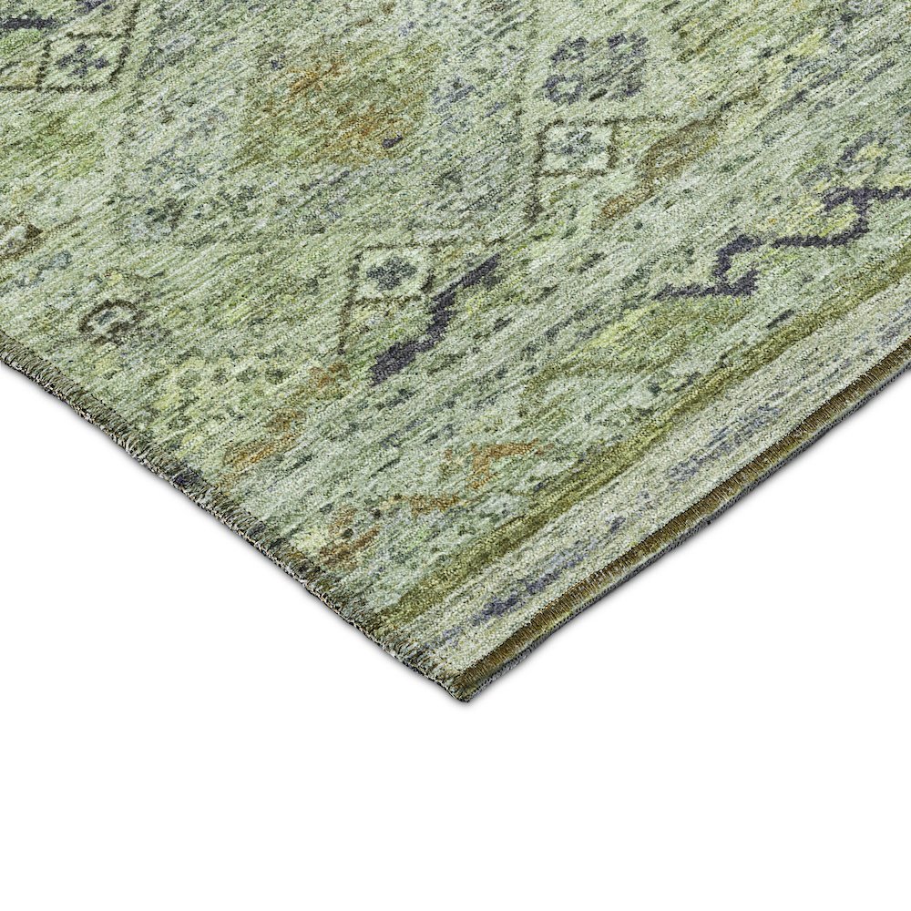 Indoor/Outdoor Karaj Aloe 2'6" x 3'10" Rug