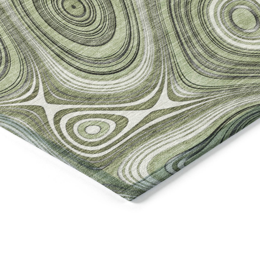 Machine Washable Indoor/Outdoor Chantille ACN2097 Aloe 3' x 5' Rug