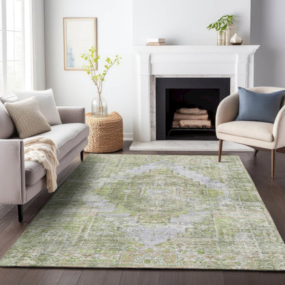 Machine Washable Indoor/Outdoor Chantille ACN2140 Aloe 8' x 10' Rug