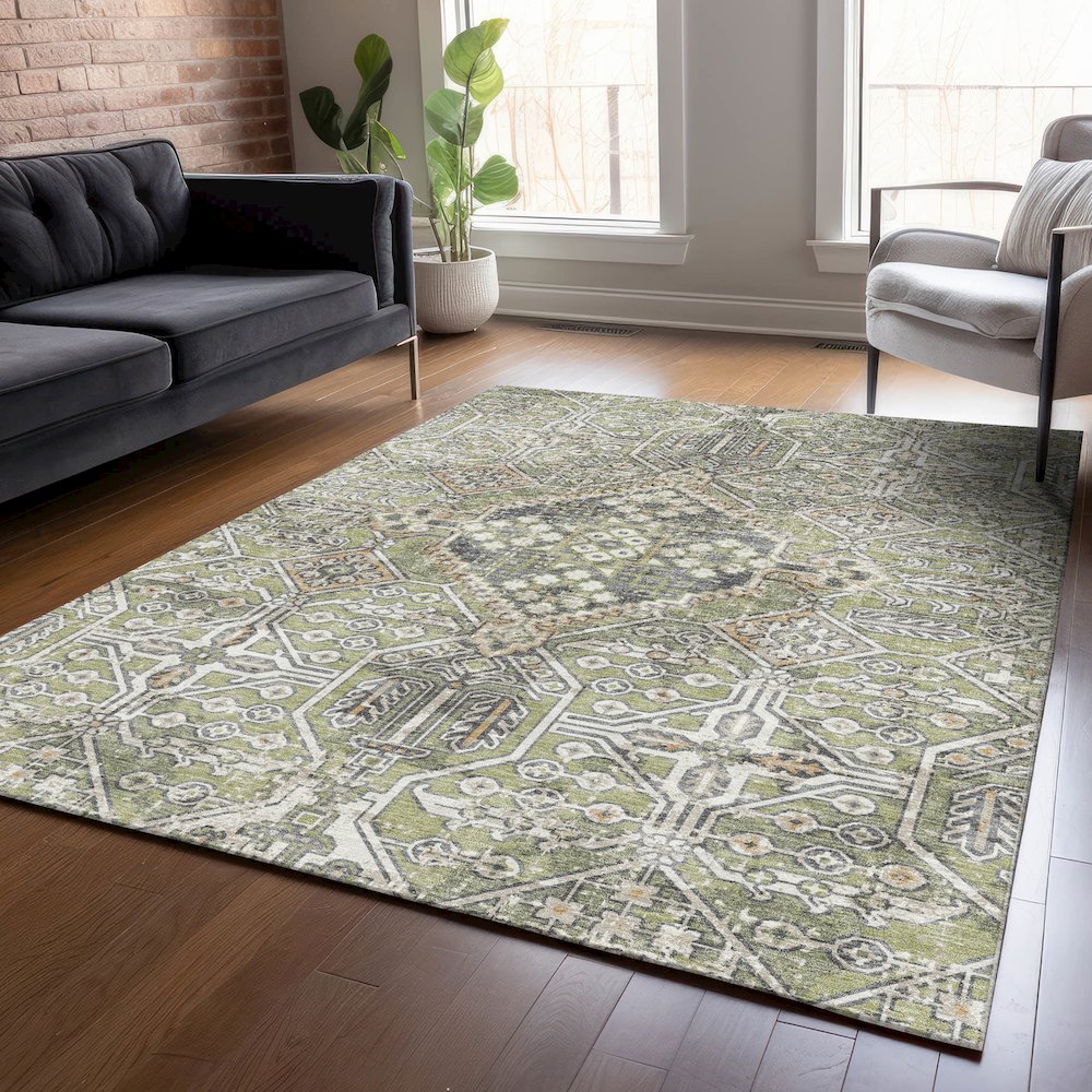 Machine Washable Indoor/Outdoor Chantille ACN2197 Aloe 8' x 10' Rug