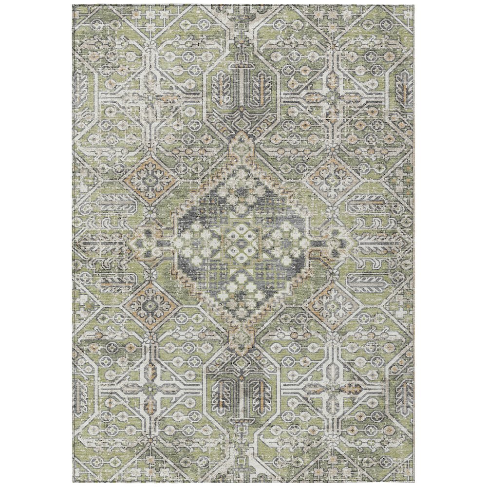Machine Washable Indoor/Outdoor Chantille ACN2197 Aloe 8' x 10' Rug