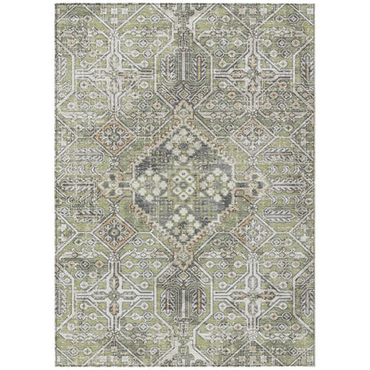 Machine Washable Indoor/Outdoor Chantille ACN2197 Aloe 8' x 10' Rug