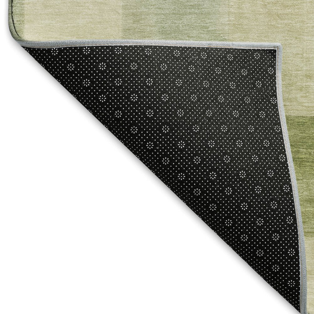 Machine Washable Indoor/Outdoor Pacifica Aloe 3' x 5' Rug