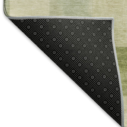 Machine Washable Indoor/Outdoor Pacifica Aloe 3' x 5' Rug