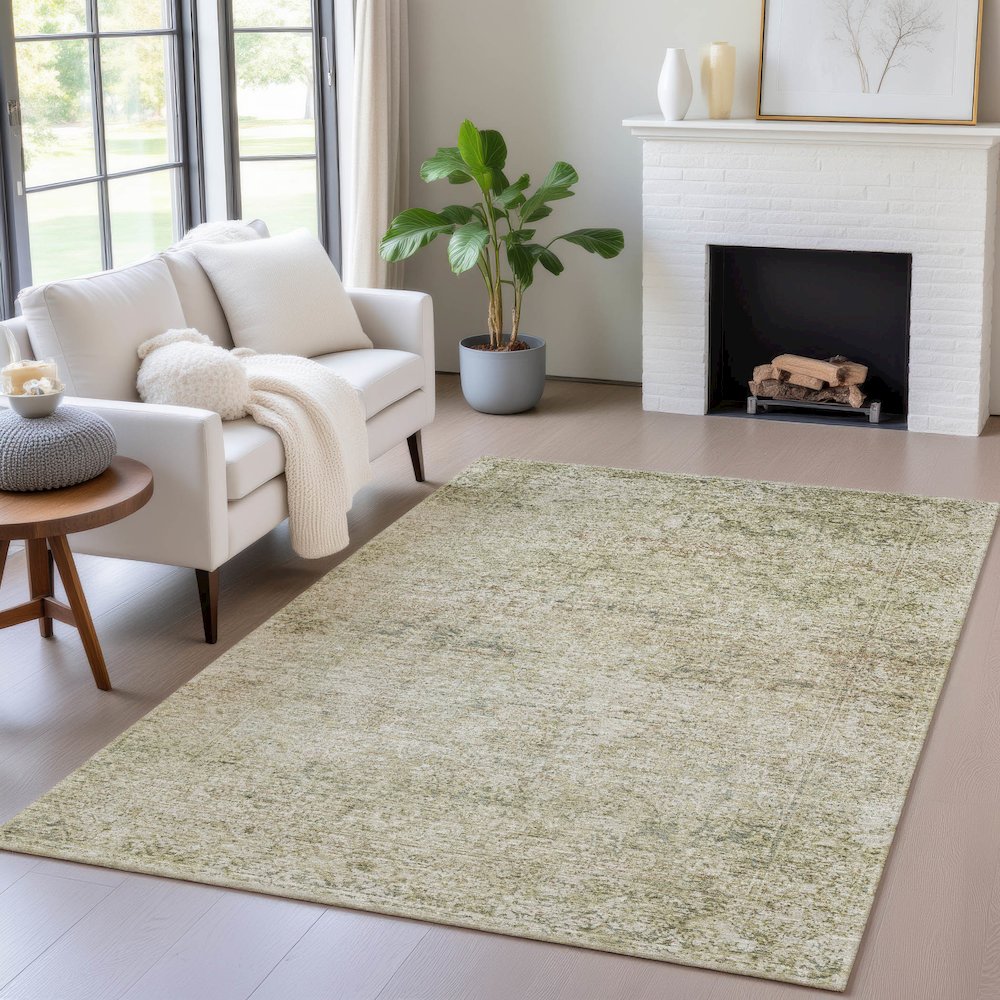 Machine Washable Indoor/Outdoor Chantille ACN2103 Sage 9' x 12' Rug