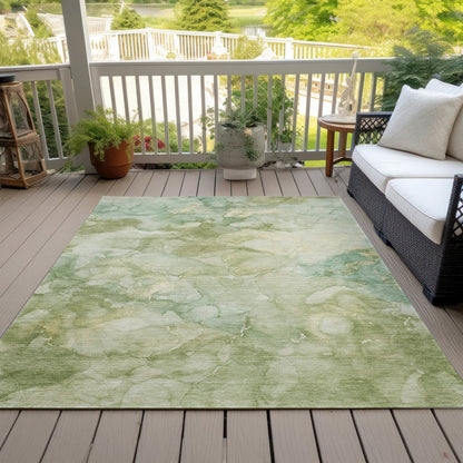 Machine Washable Indoor/Outdoor Chantille ACN2018 Aloe 10' x 14' Rug