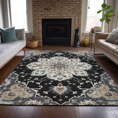 Machine Washable Indoor/Outdoor Chantille ACN2194 Black 10' x 14' Rug