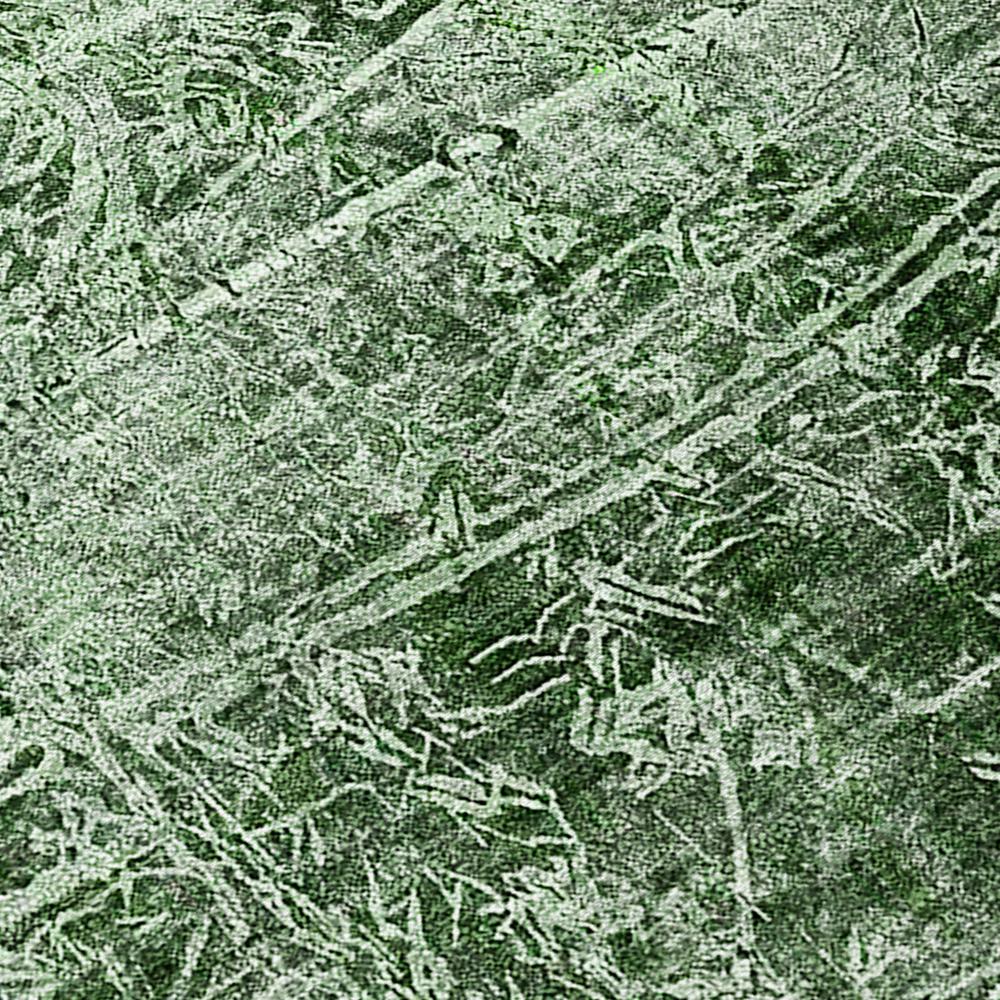 Chantille ACN559 Green 8' x 8' Rug