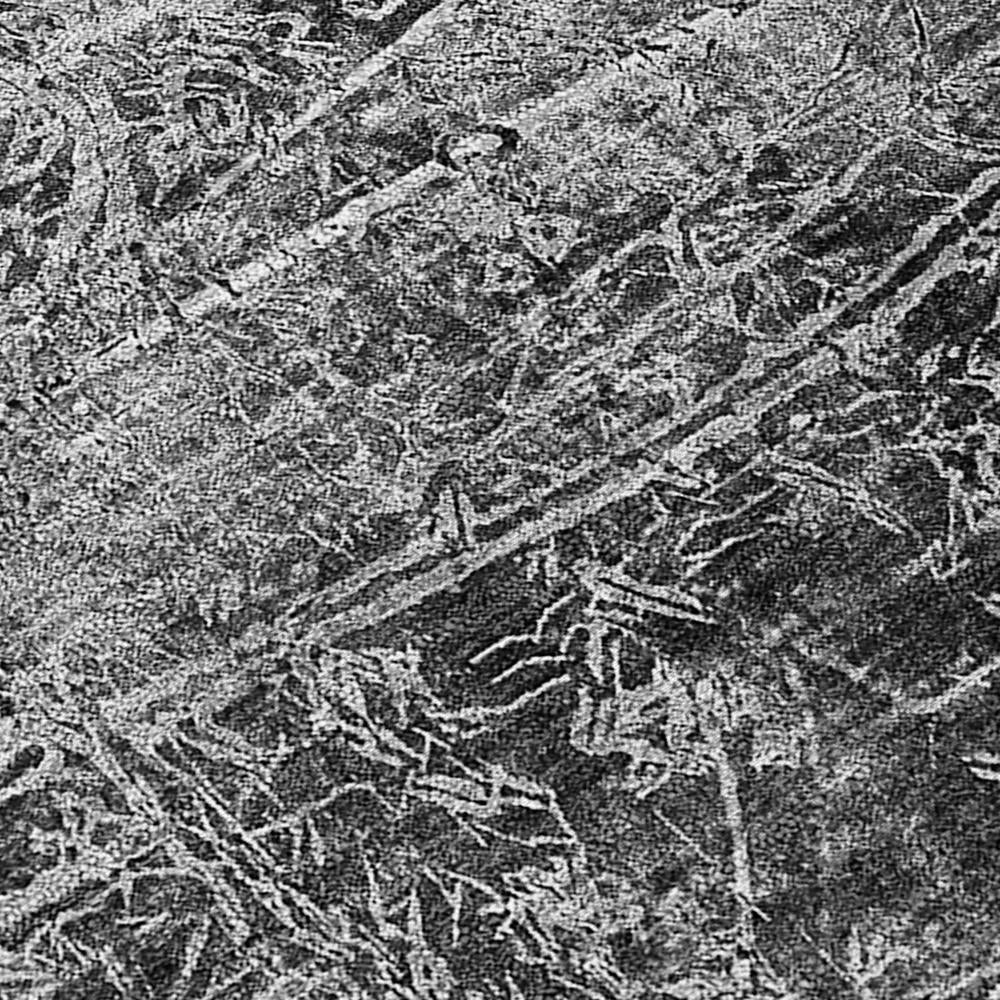 Chantille ACN559 Gray 8' x 8' Rug
