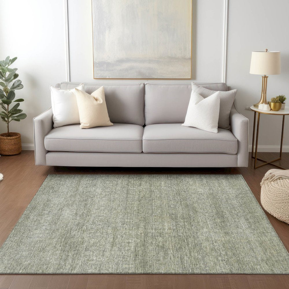 Luxury Washable Indoor/Outdoor Burano Sage 10' x 14' Rug