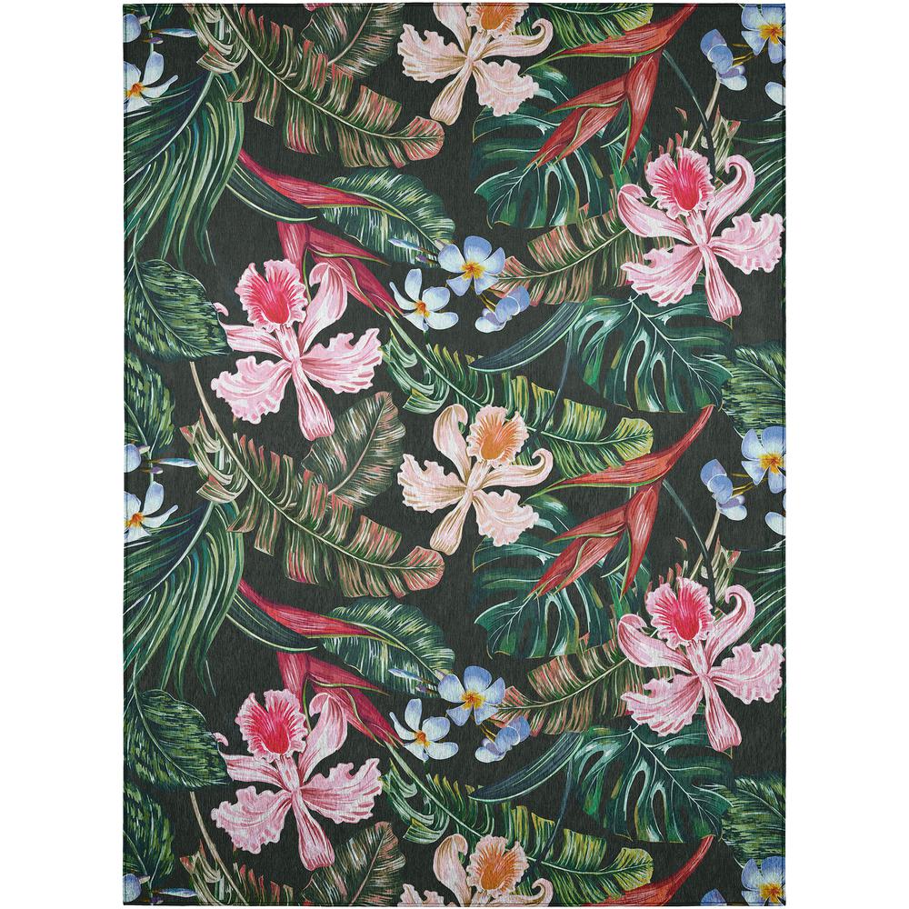 Indoor/Outdoor Tropics TC6 Black Washable 9' x 12' Rug