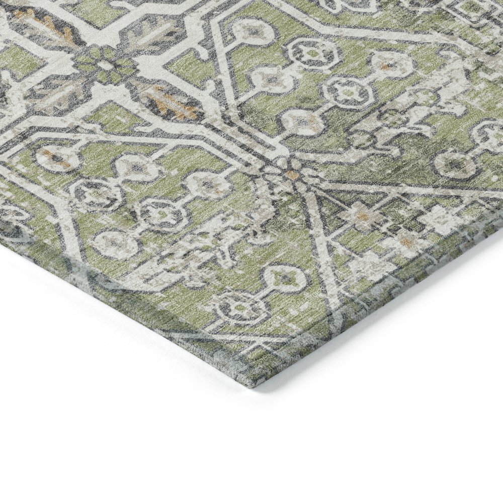 Machine Washable Indoor/Outdoor Chantille ACN2197 Aloe 8' x 10' Rug