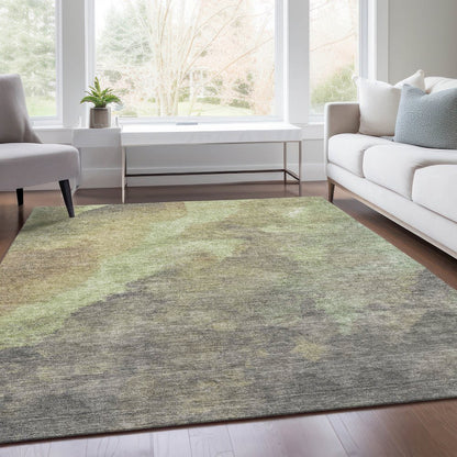 Machine Washable Indoor/Outdoor Chantille Aloe 2'6" x 3'10" Rug
