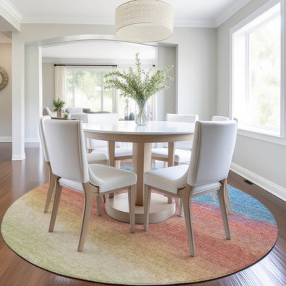 Machine Washable Indoor/Outdoor Chantille Coral 8' x 8' Round Rug
