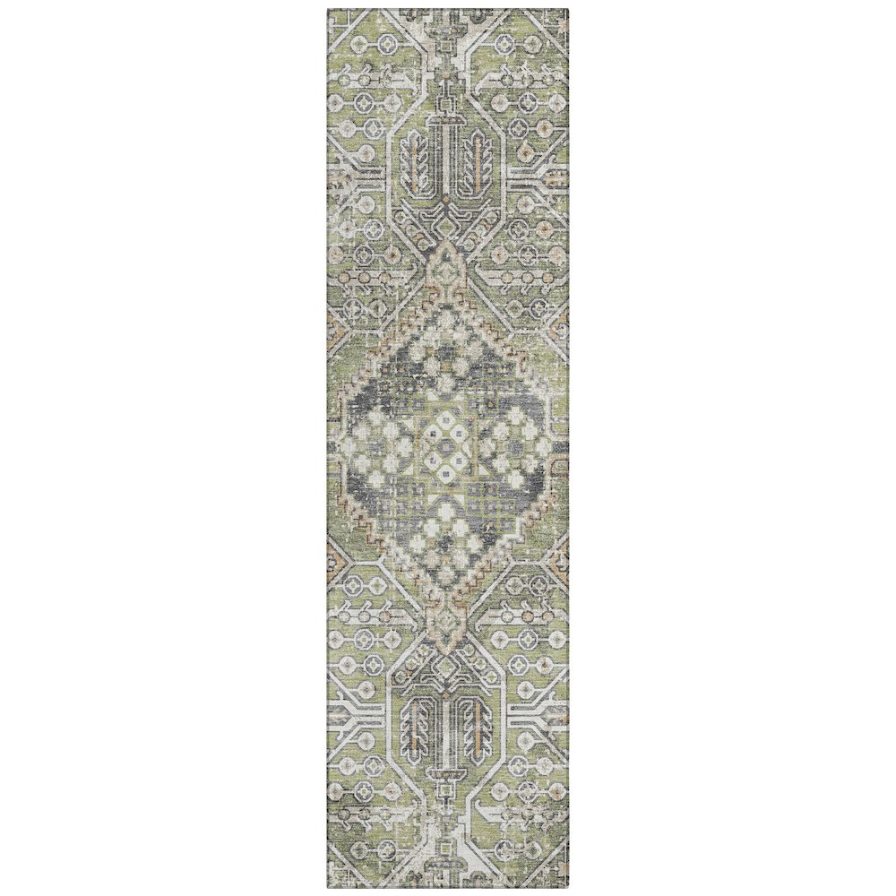 Machine Washable Indoor/Outdoor Chantille ACN2197 Aloe 2'3" x 7'6" Runner Rug