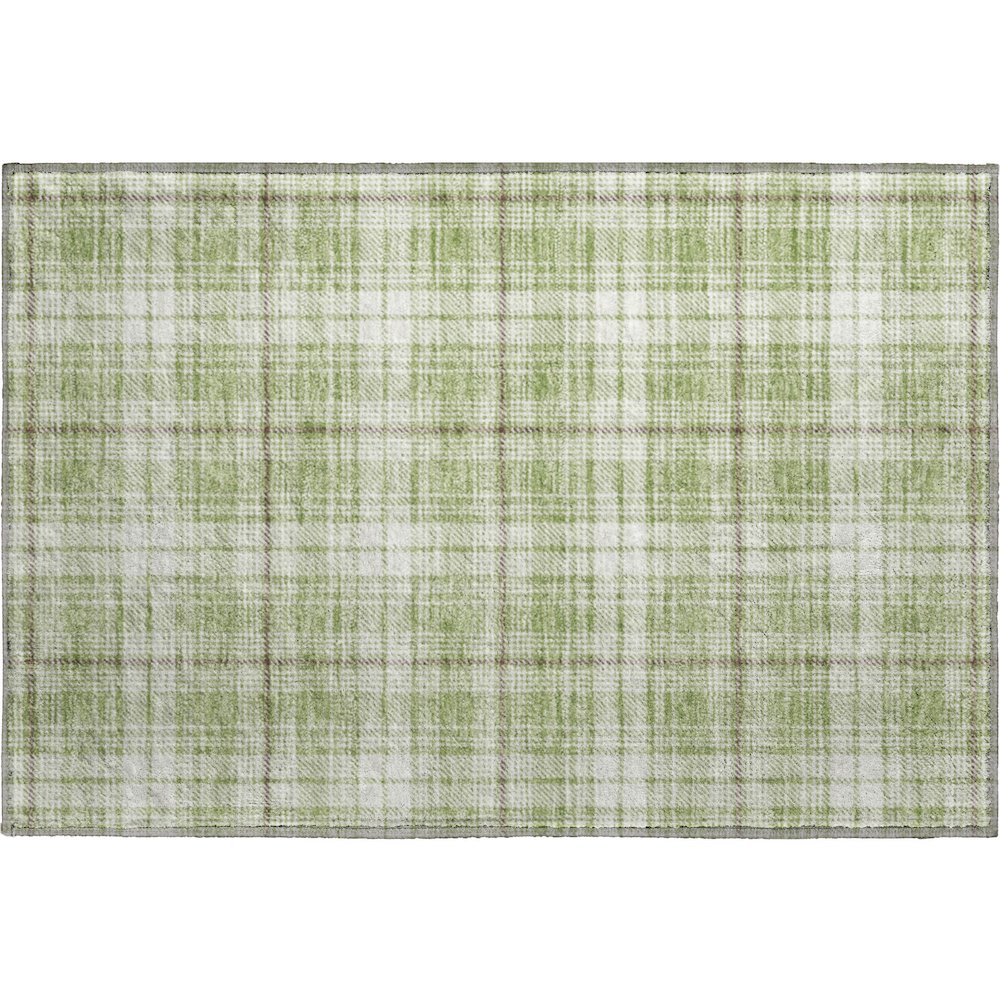 Premium Machine Washable Mayfield AMF993 Aloe 1'8" x 2'6" Rug