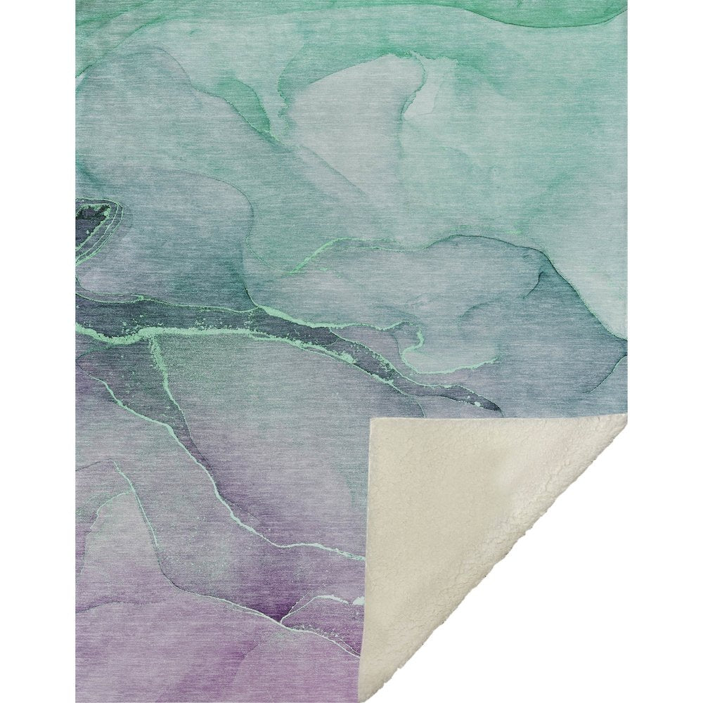 Premium Machine Washable ASB508 Aloe 50" x 70" Sherpa Throw Blanket