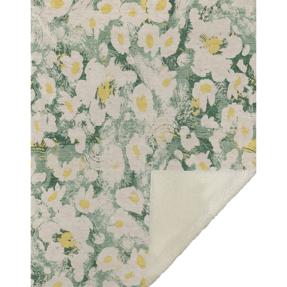 Premium Machine Washable ASB538 Green 50" x 70" Sherpa Throw Blanket