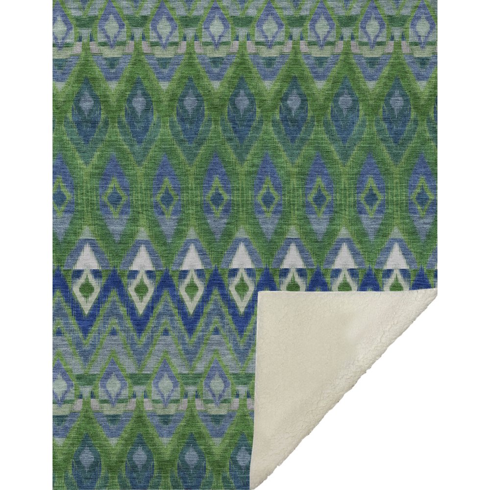 Premium Machine Washable ASB617 Green 50" x 70" Sherpa Throw Blanket