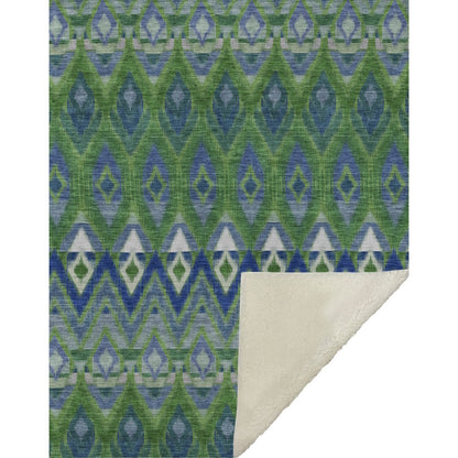 Premium Machine Washable ASB617 Green 50" x 70" Sherpa Throw Blanket