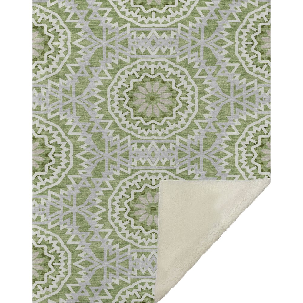 Premium Machine Washable ASB619 Green 50" x 70" Sherpa Throw Blanket