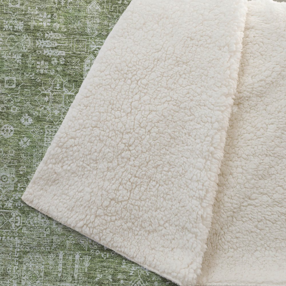 Premium Machine Washable ASB637 Aloe 50" x 70" Sherpa Throw Blanket